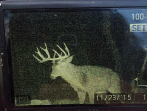 jackson county michigan big buck