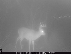 jackson county michigan big buck